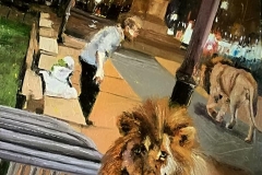 "...FA COME SE NON CI FOSSI...(il re è deposto, viva il re! )..."